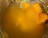 Foto del paso 4 de la receta: Puré de calabaza y zanahoria (Mambo)