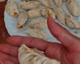 Foto del passaggio 1 della ricetta Gyoza (ravioli cinesi) Verza alle verdure