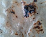 ઘઉં બાજરાની રોટલી (Wheat Bajra Rotli Recipe In Gujarati) રેસીપી સ્ટેપ3ફોટો