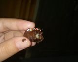 Foto langkah ke 4 dari resep Coklat Kurma isi Keju.