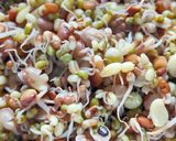 સ્પ્રાઉટસ પુલાવ (Sprouts Pulav Recipe in Gujarati) રેસીપી સ્ટેપ1ફોટો