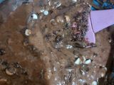 Double Chocolate brownies