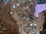 Double Chocolate brownies