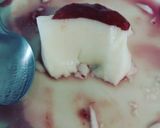 Φωτογραφία βήματος 10 της συνταγής Pannacotta light