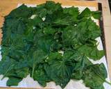 Wild Mustard garlic leaf and red dead nettle & wild onion dolmas recipe step 1 photo