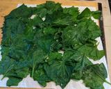 A picture of step 1 of Wild Mustard garlic leaf and red dead nettle & wild onion dolmas.