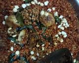 A picture of step 2 of Gun Powder - South Indian Idli Chutney Powder.
