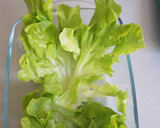 Foto del paso 3 de la receta: Ensalada verde!