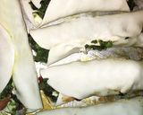 Foto del paso 4 de la receta: Arrolladitos de espinaca