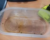 Foto del paso 6 de la receta: 289. Filetes de pavo a la plancha