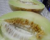 Foto del paso 1 de la receta: Frescura de melón y Vodka