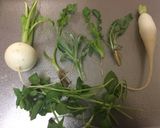 A picture of step 2 of Japanese New Year's Seven Herb Porridge.