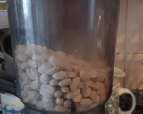 Foto del paso 1 de la receta: Galletitas %100 maní 🥜