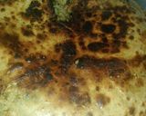 गोभी पराठा(gobhi paratha recipe in hindi) रेसिपी चरण 5 फोटो