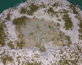 Foto del paso 2 de la receta: Pizzetas