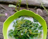 Foto langkah ke 2 dari resep Sayur Mbayung Santen.