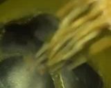 A picture of step 2 of Popcorn.