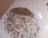 A picture of step 1 of Jeera Aloo.