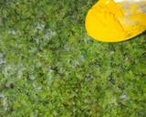 Green Peas Matar Parathas recipe step 5 photo