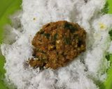 Foto langkah ke 1 dari resep Serundeng kelapa original.