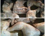 Foto del paso 3 de la receta Traseros de pollo al horno