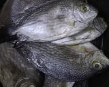 Foto langkah ke 1 dari resep Tim Ikan Ala Thailand.
