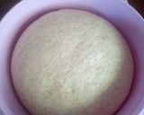 Foto del paso 5 de la receta: Pan rústico natural