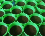 Foto langkah ke 7 dari resep Bolu coklat mini EKONOMIS.