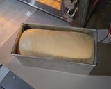 Foto langkah ke 8 dari resep Roti Tawar Sourdough/ Soft Sourdough Sandwich Bread.