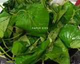 Foto langkah ke 3 dari resep Tumis Daun Ubi Jalar.