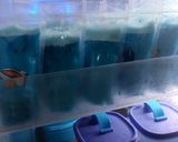 Foto langkah ke 3 dari resep Jelly Bubble.