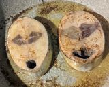 Foto langkah ke 7 dari resep 5 | Grilled Cakalang with mushroom sauce.