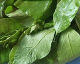 Foto langkah ke 1 dari resep Tumis Sayur Melinjo dan Cumi.