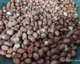 Foto langkah ke 1 dari resep Bumbu Pecel Enak.
