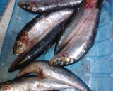 Foto del paso 1 de la receta: Sardinas aliñadas