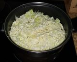 Foto del paso 2 de la receta: Rollitos Primavera