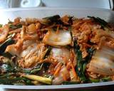韓式泡菜食譜步驟10照片