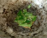 முளைகட்டிய தட்டை பயறு குழம்பு ரெசிபி ஸ்டேப் 5 புகைப்படம்