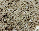 A picture of step 4 of Crayfish Powder.
