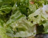 Foto langkah ke 3 dari resep SELADA (Salad khas Minang).