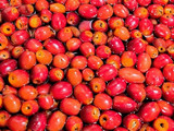 Dulce de rosa mosqueta