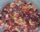 Foto del paso 3 de la receta: Mermelada de cieruelitas casera