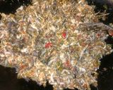 Foto langkah ke 5 dari resep Tumis Tongkol Asap #Dapur Fitri.