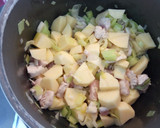 Foto del paso 2 de la receta: Porrusalda con pavo 🤪