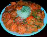 Mike's Beginners Shrimp & Andulie Sausage Étouffée recipe step 10 photo