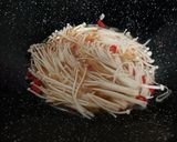 Foto langkah ke 4 dari resep Tumis Jamur Enoki Tofu.