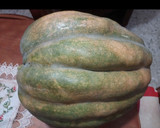 Foto del paso 1 de la receta: Calabaza 🎃 Enmielada