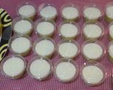 Foto langkah ke 3 dari resep Puding buah melon simpel.