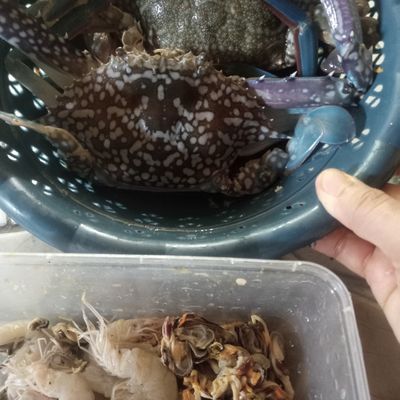 Langkah 1