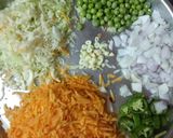 ચાઇનીઝ વેજ સ્પ્રિંગ રોલ (Veg Spring Roll Recipe in Gujarati) રેસીપી સ્ટેપ3ફોટો